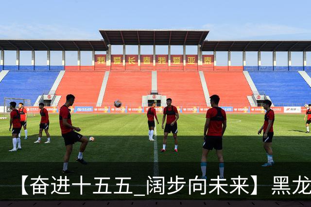 【奋进十五五 阔步向未来】黑龙江农机产业正加速迈向高端化智能化绿色化